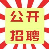 湖南省材料谷科技发展有限公司2026年公开招聘公告